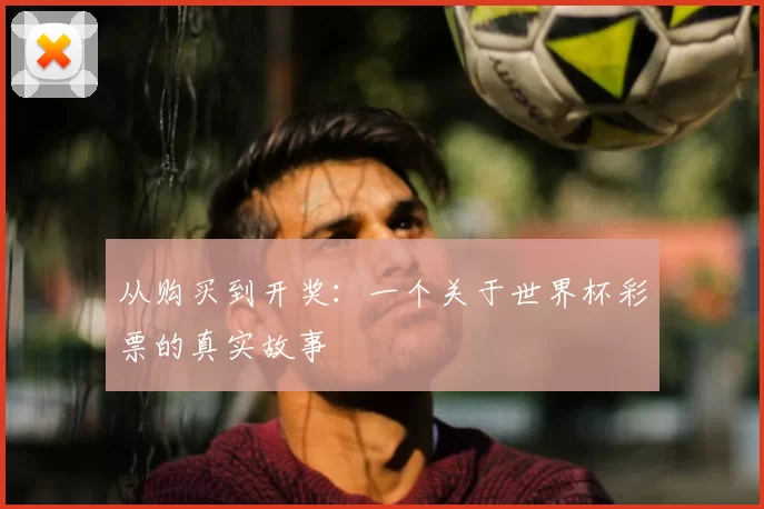 从购买到开奖:一个关于世界杯彩票的真实故事