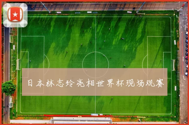 日本林志玲亮相世界杯现场观赛