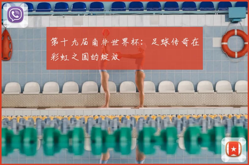 第十九届南非世界杯:足球传奇在彩虹之国的绽放