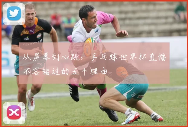 从屏幕到心跳，乒乓球世界杯直播不容错过的五个理由