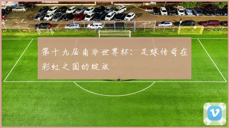 第十九届南非世界杯：足球传奇在彩虹之国的绽放