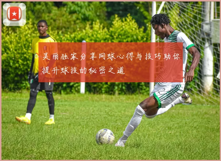 吴丽独家分享网球心得与技巧助你提升球技的秘密之道