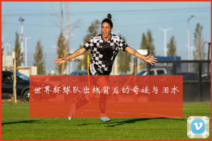 世界杯球队出线背后的奇迹与泪水