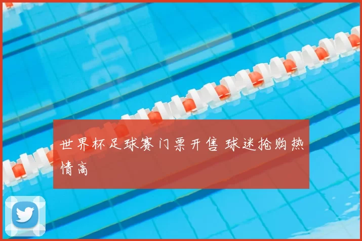 世界杯足球赛门票开售 球迷抢购热情高
