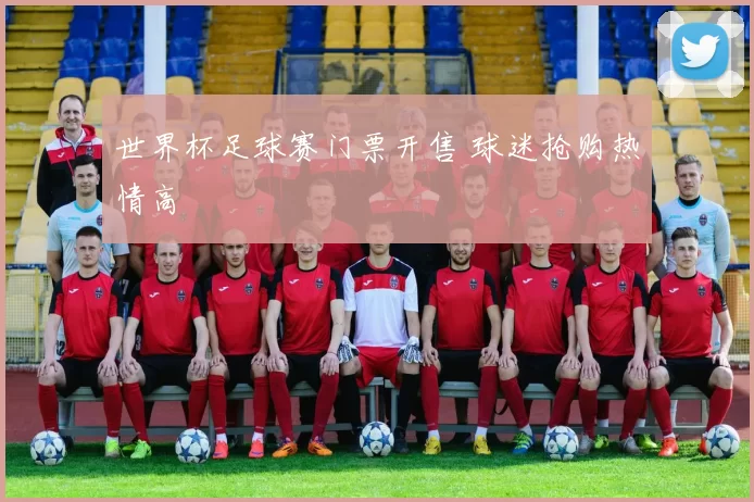 世界杯足球赛门票开售 球迷抢购热情高
