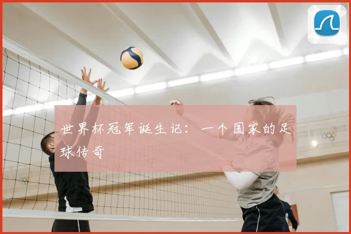 世界杯冠军诞生记：一个国家的足球传奇