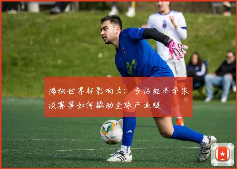 揭秘世界杯影响力：专访经济学家谈赛事如何撬动全球产业链