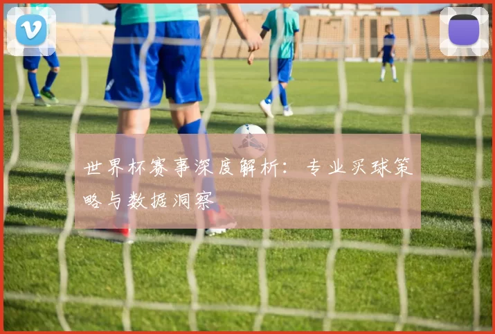 世界杯赛事深度解析：专业买球策略与数据洞察