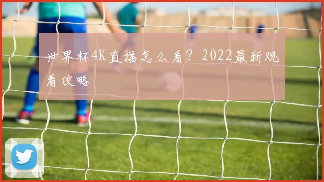 世界杯4K直播怎么看？2022最新观看攻略