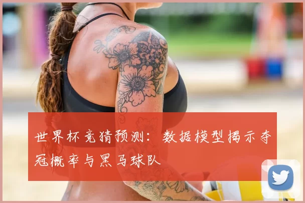 世界杯竞猜预测：数据模型揭示夺冠概率与黑马球队