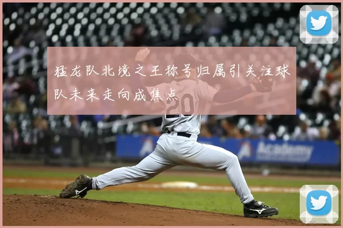 猛龙队北境之王称号归属引关注球队未来走向成焦点
