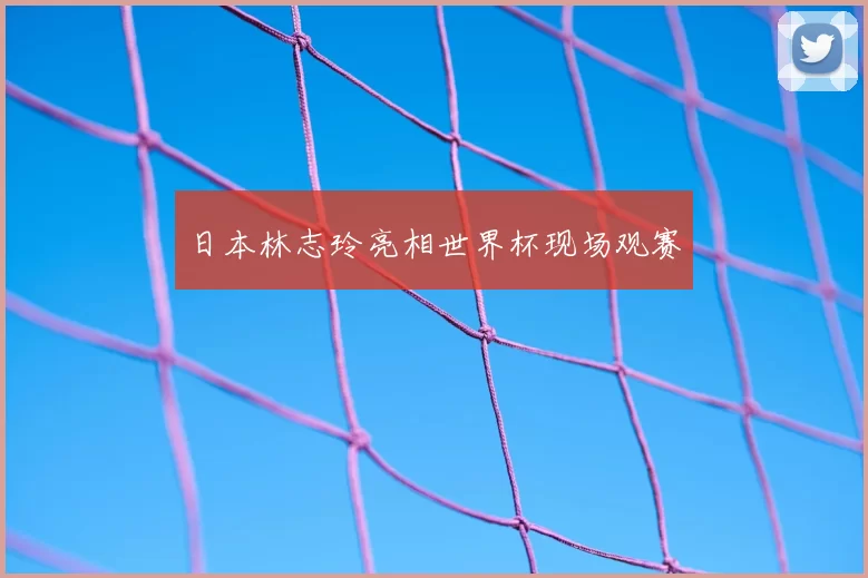 日本林志玲亮相世界杯现场观赛