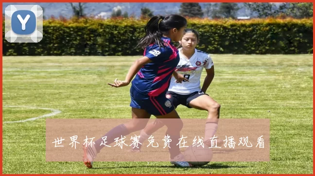 世界杯足球赛免费在线直播观看