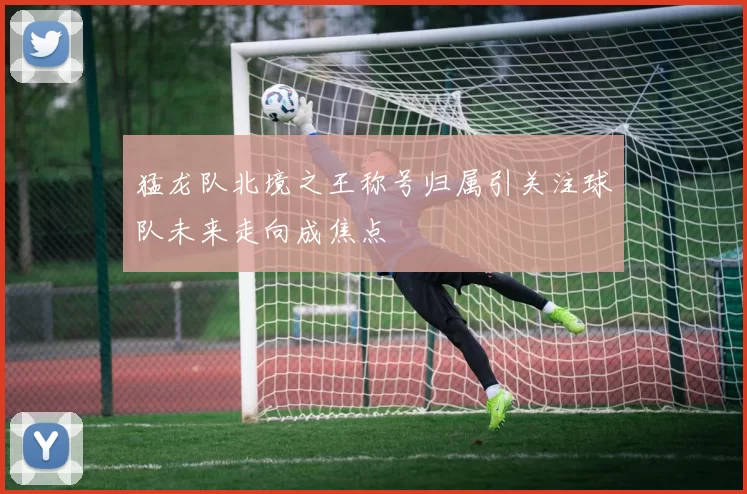猛龙队北境之王称号归属引关注球队未来走向成焦点