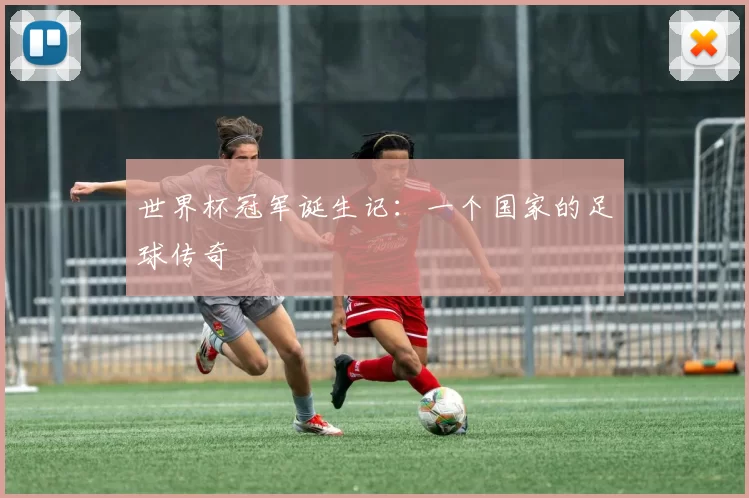 世界杯冠军诞生记:一个国家的足球传奇